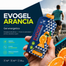 EVOGEL Arancia: L'Evoluzione dell'Energia Sequenziale: Ricarica Immediata e Prolungata - 24 monodose - KEFORMA